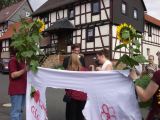 IMGP3571